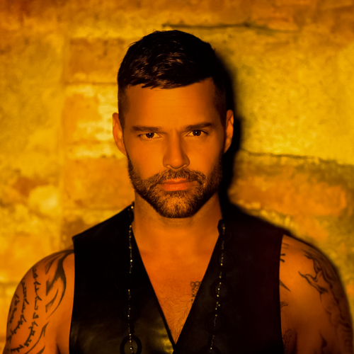 Ricky Martin - imusic.am