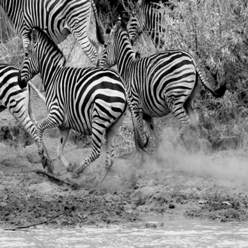 Luna Stephenson - imusic.am