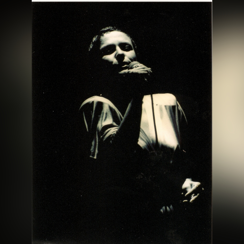 Elis Regina - imusic.am