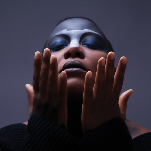 Meshell Ndegeocello - imusic.am