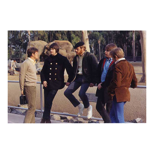 Beach Boy - imusic.am