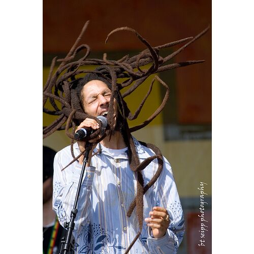 Julian Marley - imusic.am