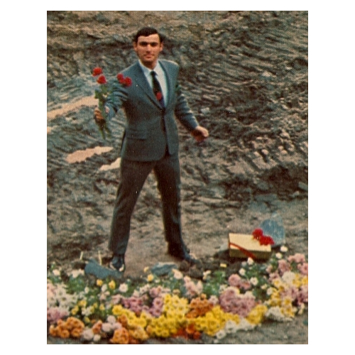 Brute Force - imusic.am