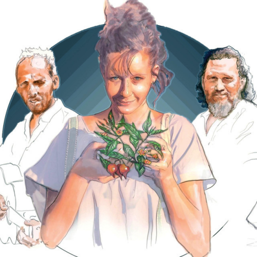 Mosquitos - imusic.am