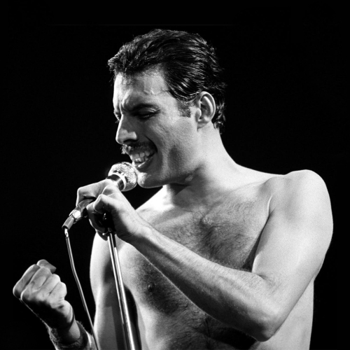 Freddie Mercury - imusic.am