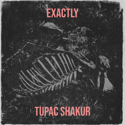 Tupac Shakur - imusic.am