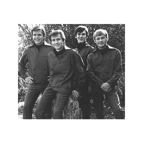 Bobby Fuller Four - imusic.am