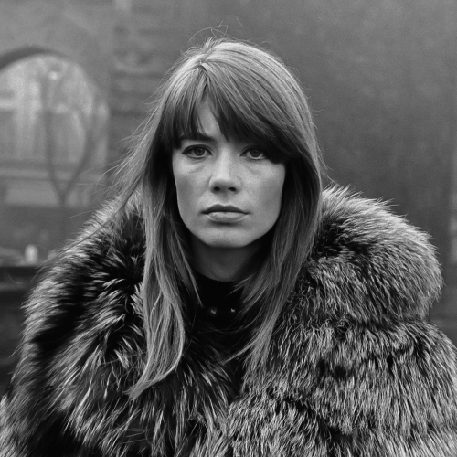 Françoise Hardy - imusic.am