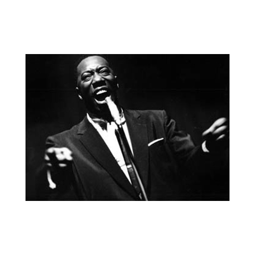 Joe Williams - imusic.am