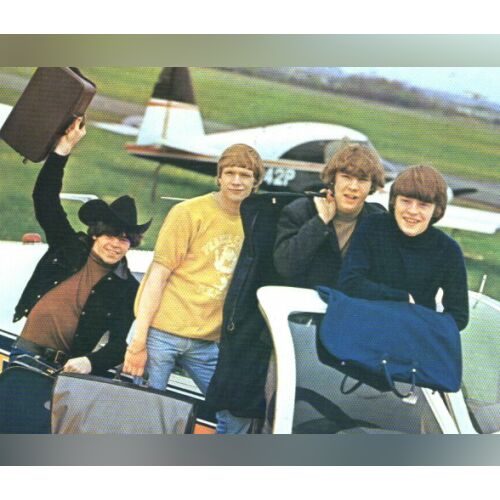 The McCoys - imusic.am