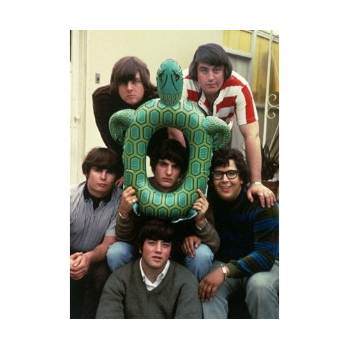 The Turtles - imusic.am