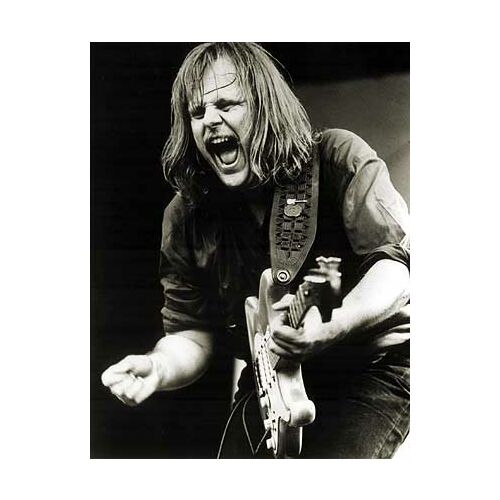 Walter Trout - imusic.am