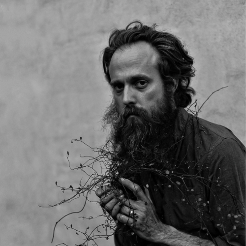 Iron & Wine - imusic.am