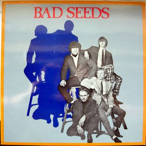 The Bad Seeds - imusic.am