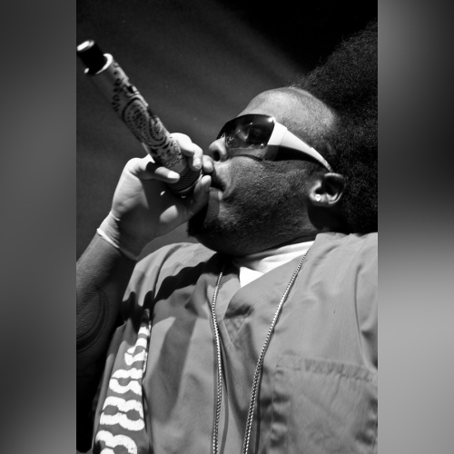 Krizz Kaliko - imusic.am