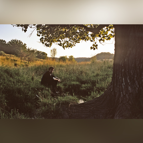 Andrew Bird - imusic.am