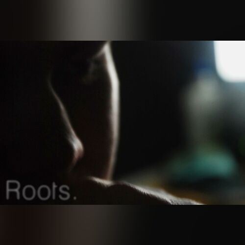 Roots - imusic.am