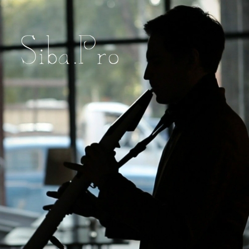Siba.Pro - imusic.am