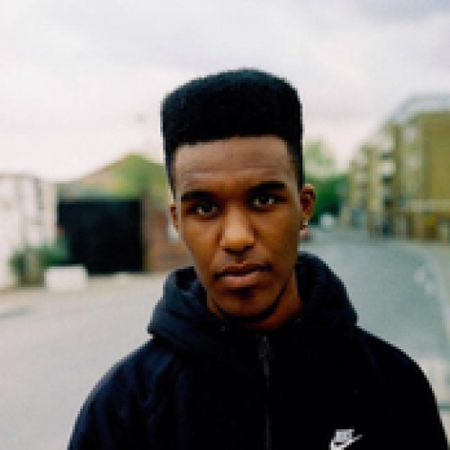 Novelist - imusic.am