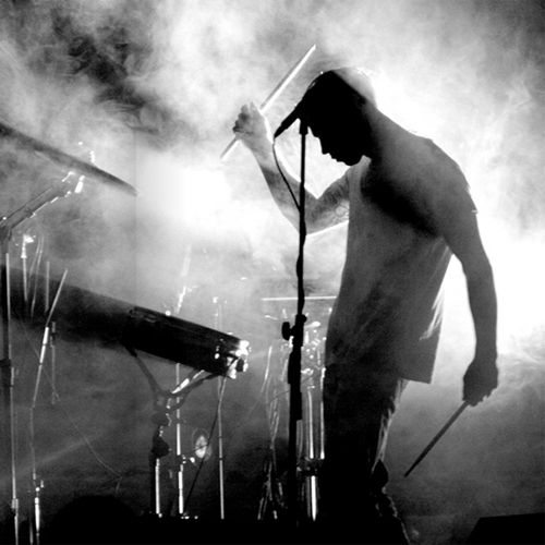 Дельфин - imusic.am