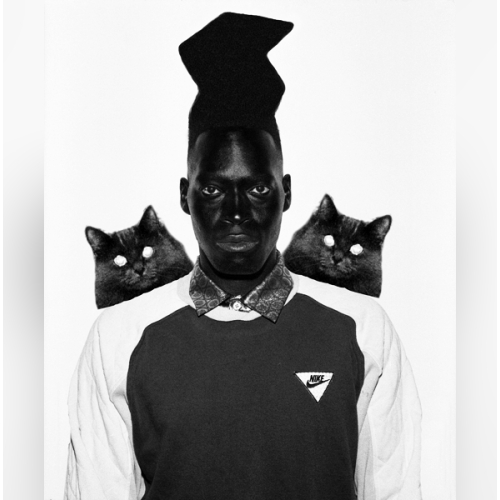 Zebra Katz - imusic.am