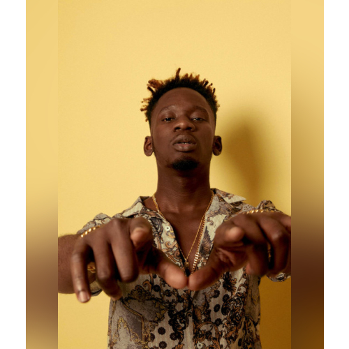 Mr Eazi - imusic.am