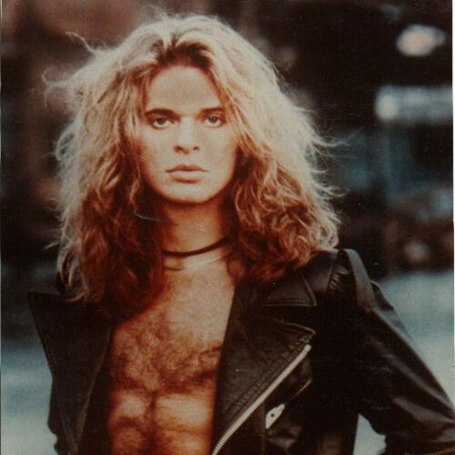 David Lee Roth - imusic.am