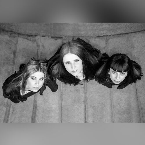 TARAS - imusic.am