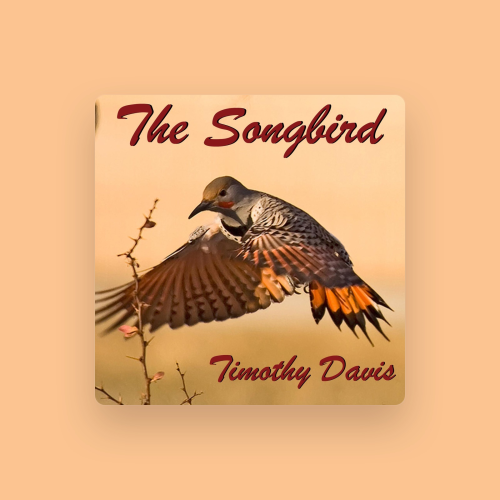 Timothy Davis - imusic.am