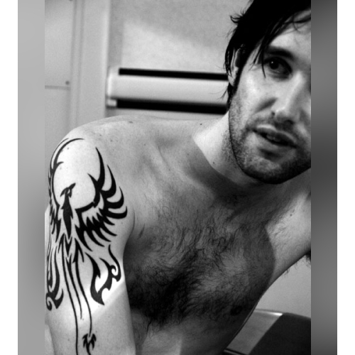 Tim Wheeler - imusic.am