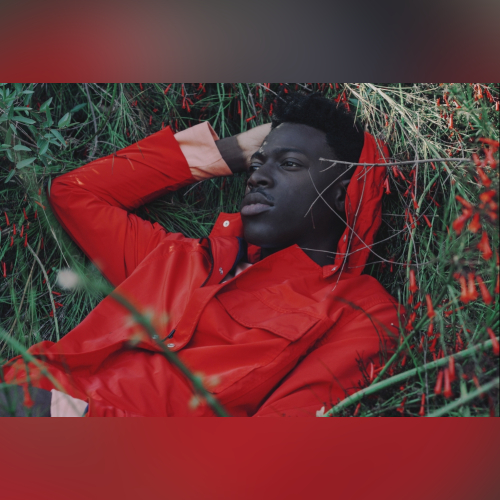 Moses Sumney - imusic.am