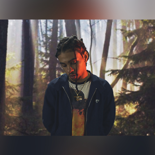 Robb Bank$ - imusic.am