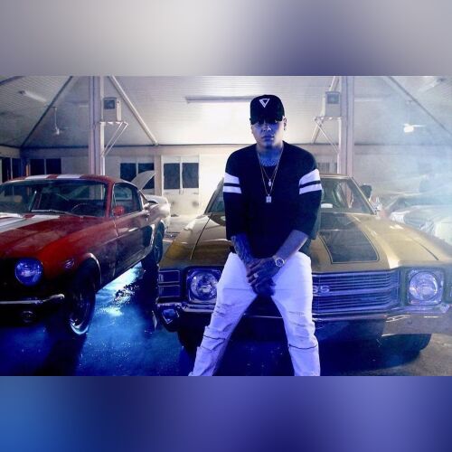 Darell - imusic.am
