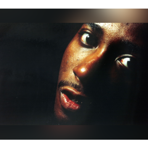 Ol' Dirty Bastard - imusic.am