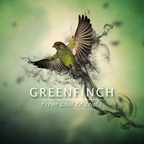 Greenfinch - imusic.am