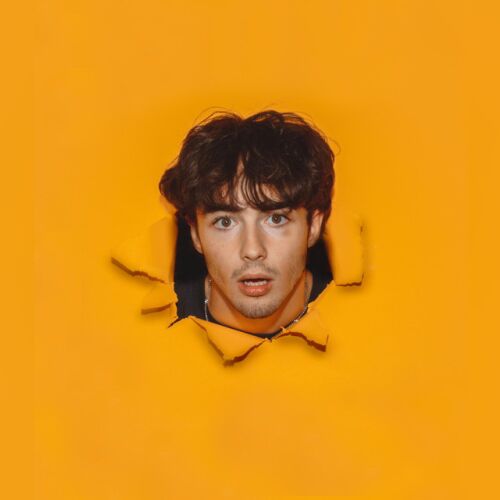 Alfie Templeman - imusic.am