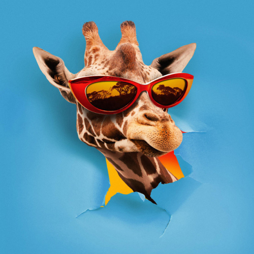 Giusy Ferreri - imusic.am