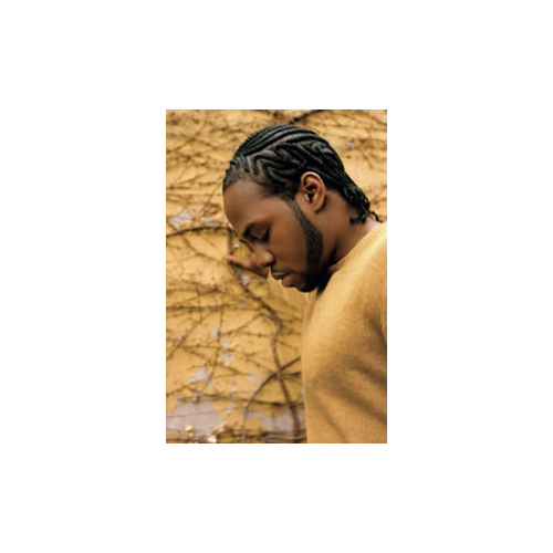 Dwele - imusic.am