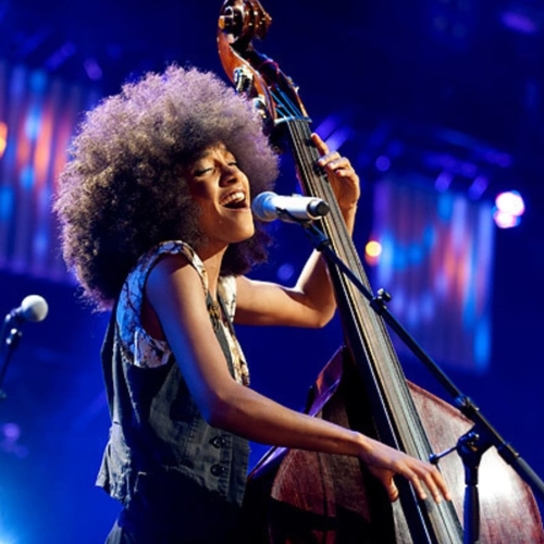 Esperanza Spalding - imusic.am