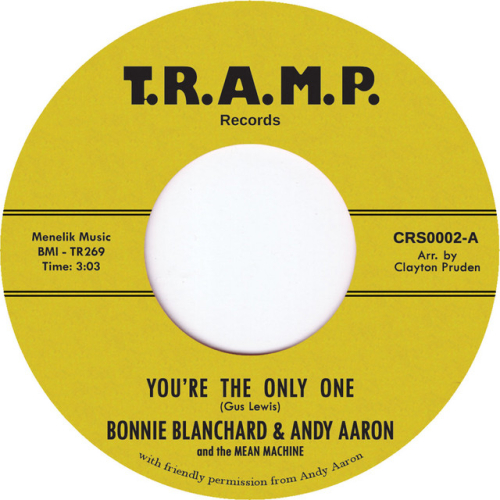 Andy Aaron - imusic.am