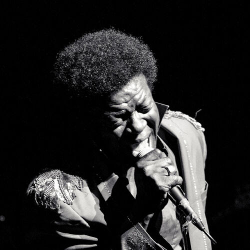 Charles Bradley - imusic.am