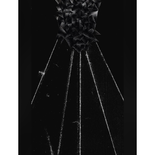 The Ting Tings - imusic.am