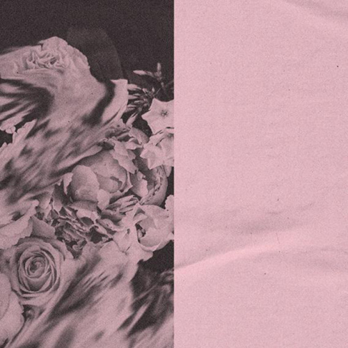 spring gang - imusic.am