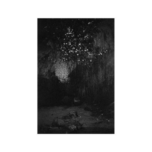 Doves - imusic.am