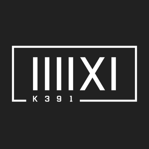 K-391 - imusic.am