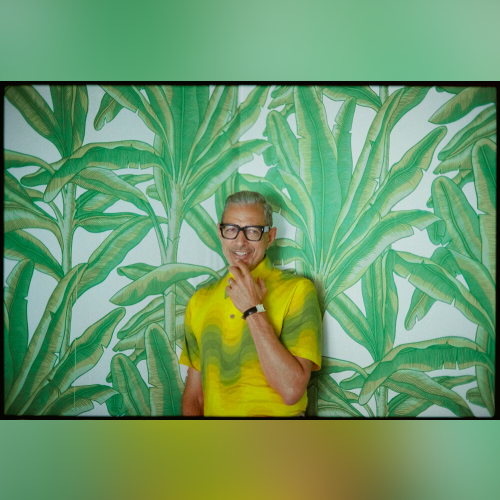 Jeff Goldblum & The Mildred Snitzer Orchestra - imusic.am