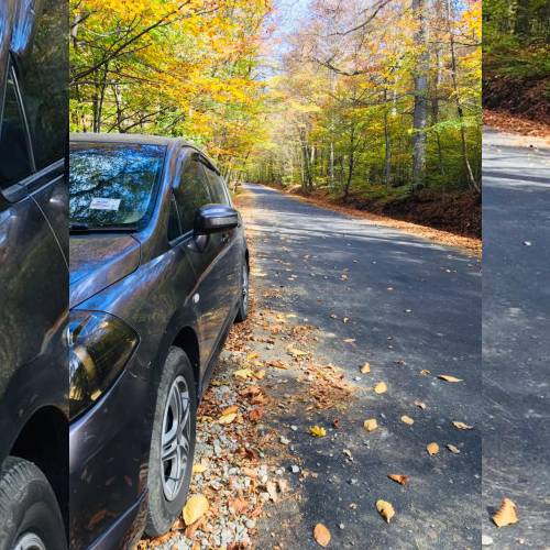 drive Latio, drive By Anahit - imusic.am