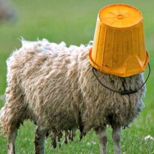 songs for school By Deshaun - imusic.am