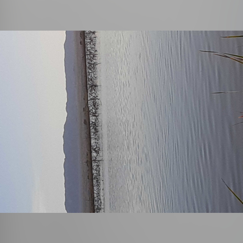 country By tacogods - imusic.am