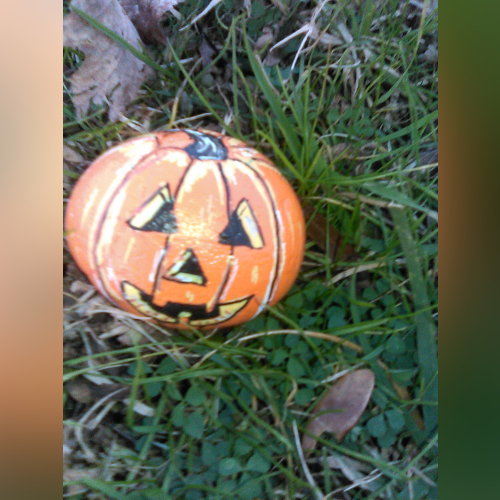 Favorites By Layla - imusic.am